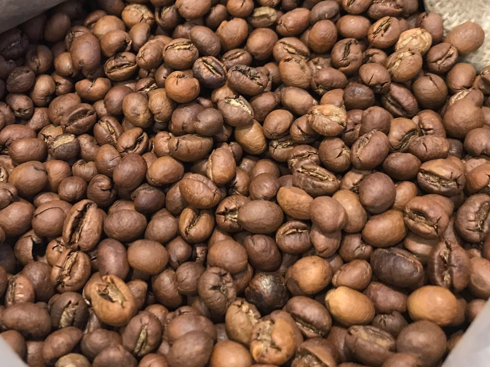 Túi cà phê Robusta Culi S16 [500g - 1000g] Rang Hạt